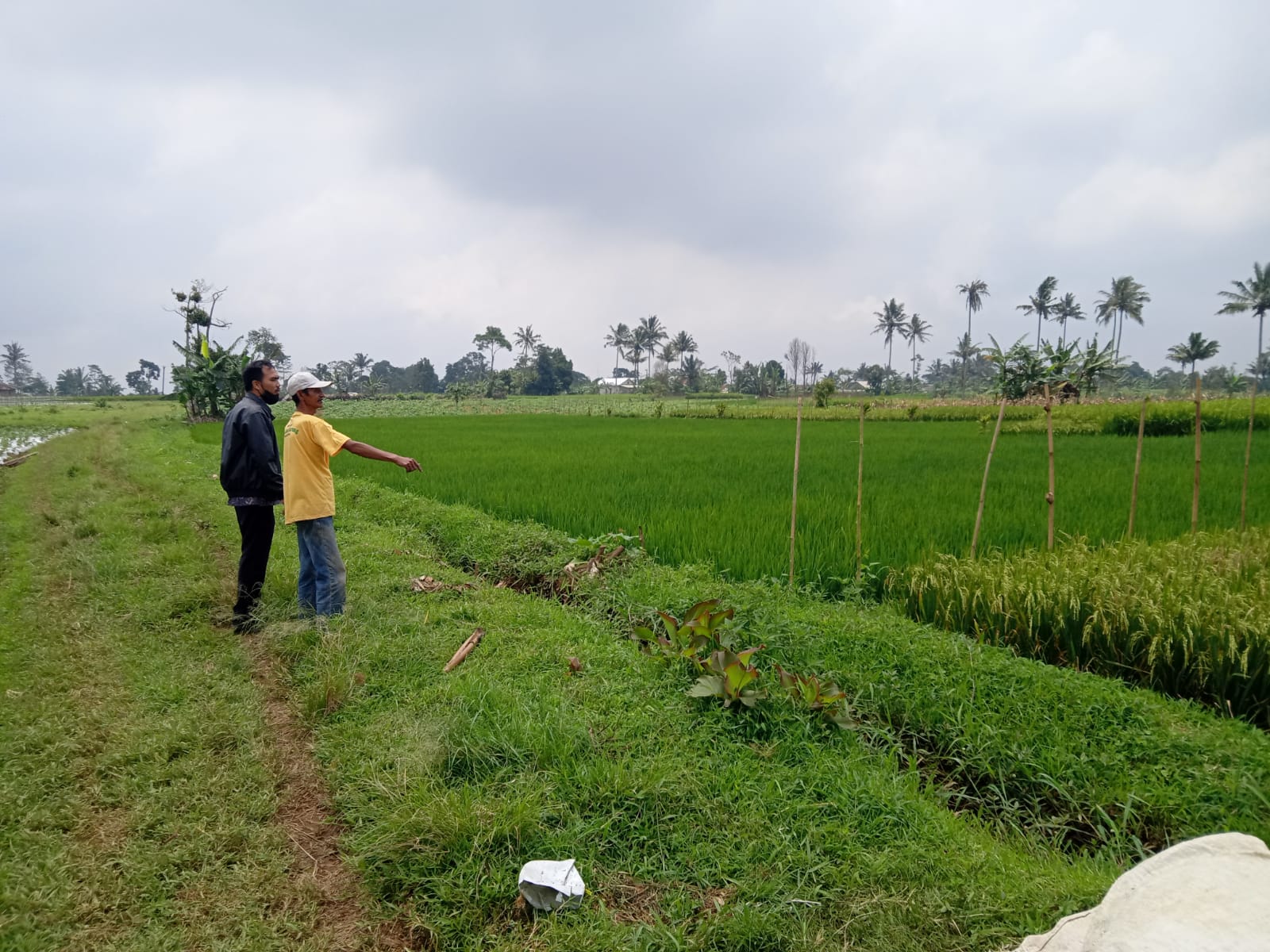 7a23bc1c-f3e6-46e4-b6b1-7cbc6c2c2dec